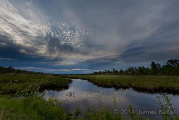 Mud Lake Bog Reflections