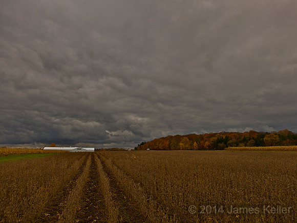 MSU Fall Farm