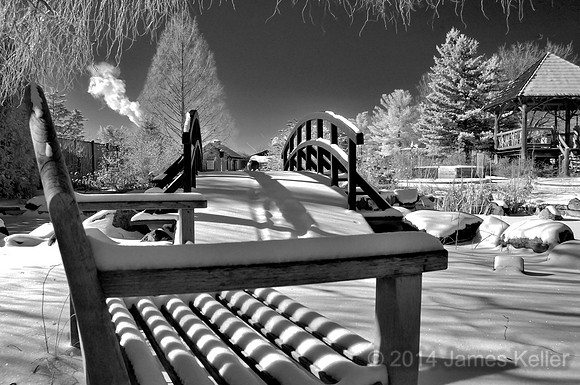 MSU 4H Children's Garden
