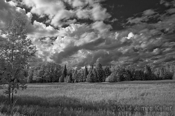 IR Meadow