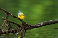 Prothonotary 07-06-14