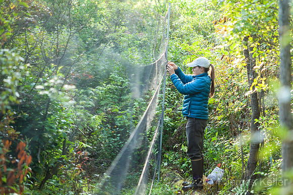 Checking the net.
