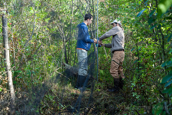 Removing a Common Yellowthroat