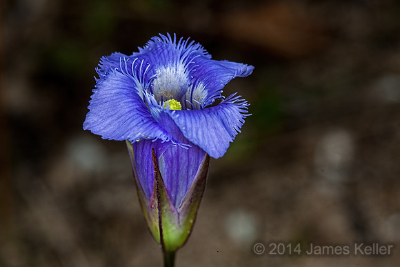 _MG_5951-Edit-2