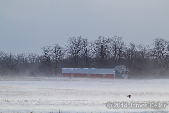 Harper Road farm from Lamb.