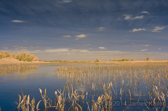 DSC_0548_IR