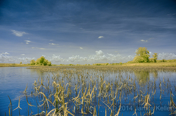 DSC_0530_IR