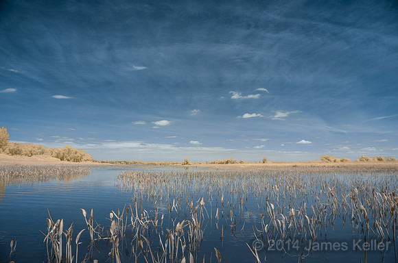 DSC_0546_IR