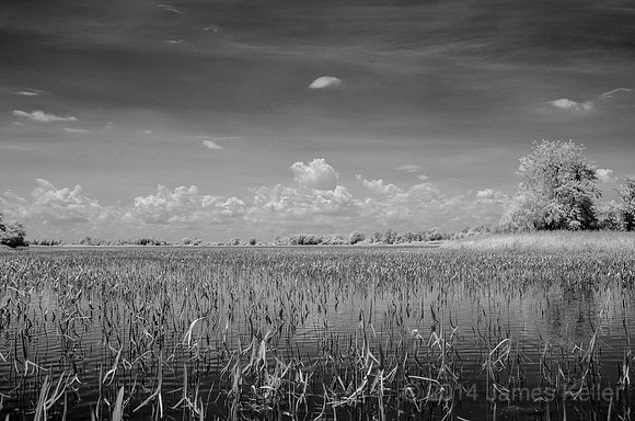 DSC_0531_ BW