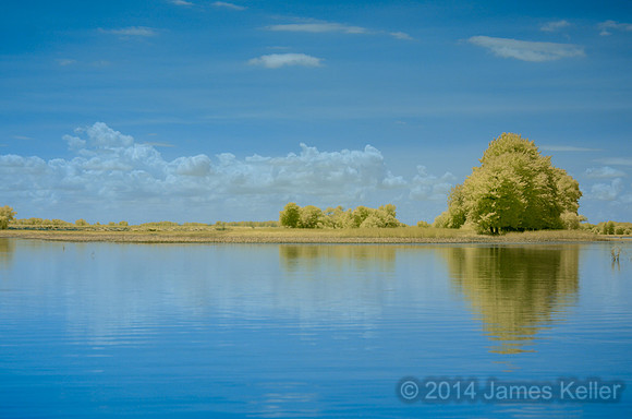 DSC_0523_IR