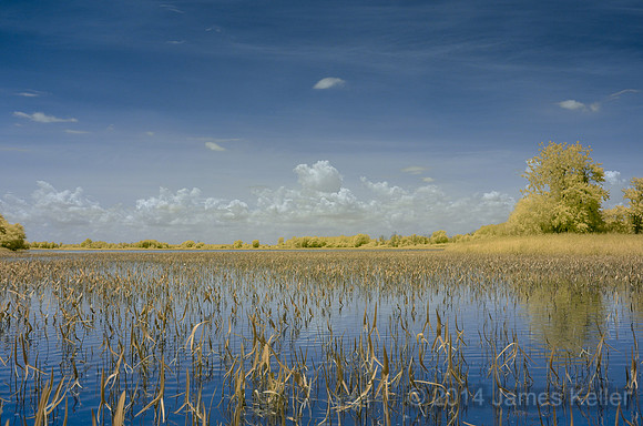 DSC_0531_ IR