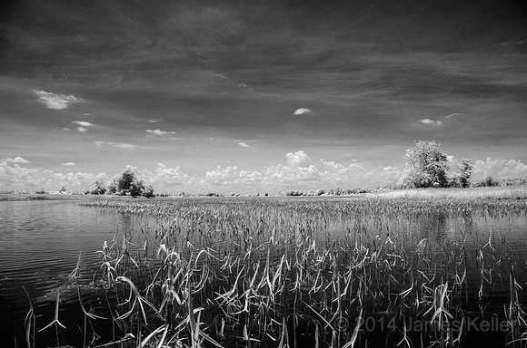 DSC_0530_BW