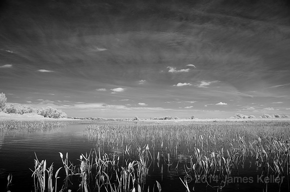 DSC_0546_BW