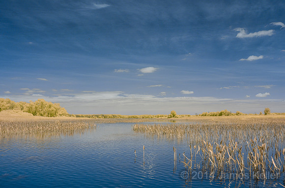 DSC_0539_IR