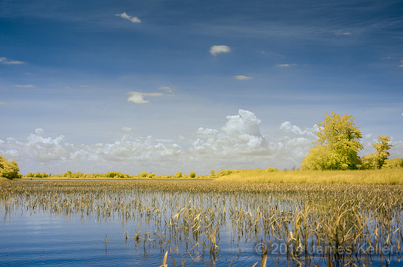 DSC_0527_IR
