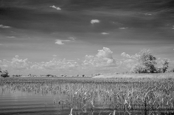 DSC_0527_BW