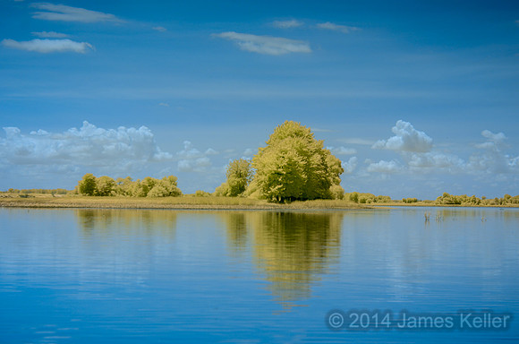 DSC_0519_IR