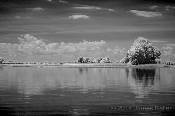 DSC_0523_BW