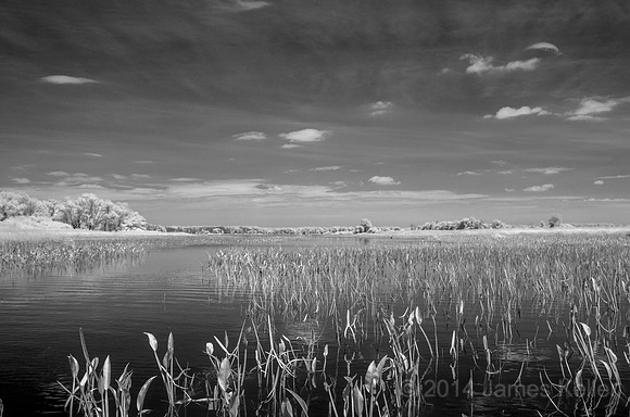 DSC_0548_BW