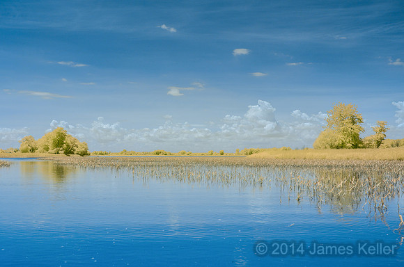 DSC_0526_IR