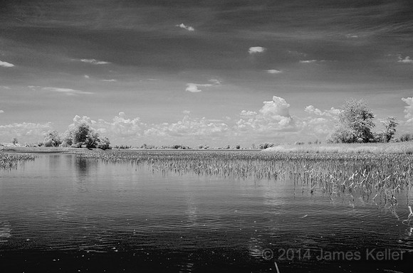 DSC_0526_BW