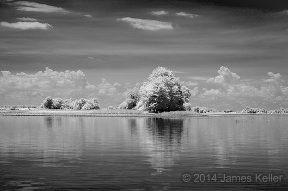DSC_0519_BW