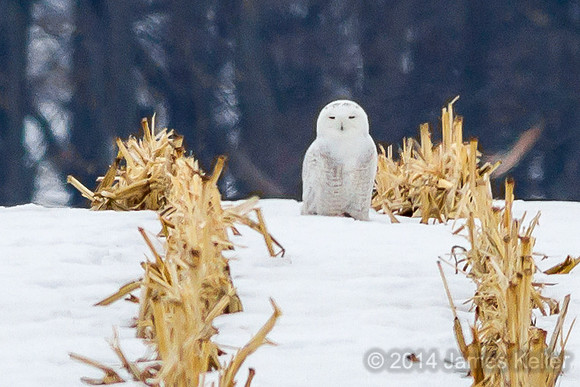 I see you.