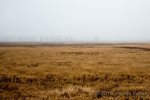 Shiawassee NWR