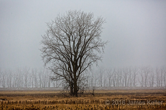 Shiawassee NWR