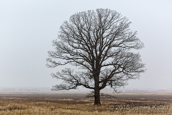 Shiawassee NWR