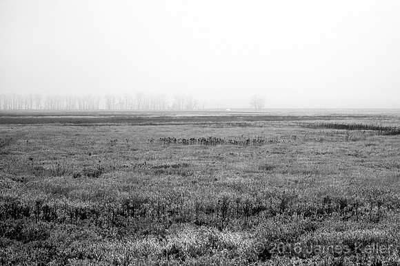 Shiawassee NWR
