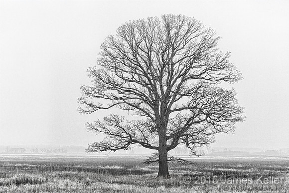 Shiawassee NWR