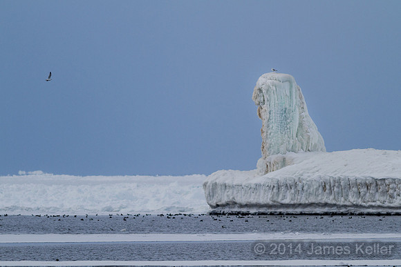 Ice Sculpture