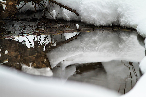 Just a Reflection