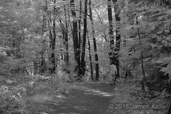 Solitary Walk