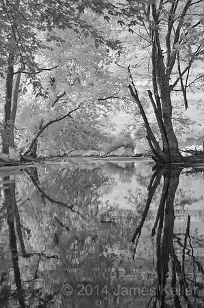 Looking Glass Reflection 1