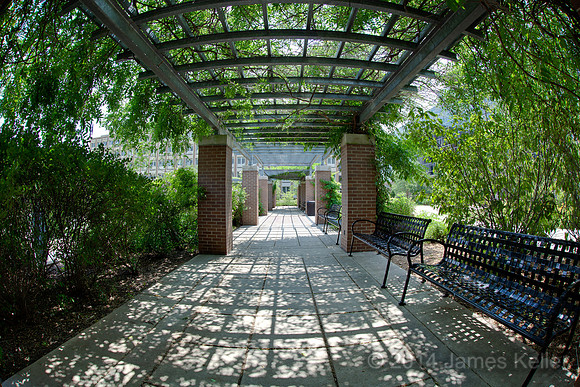 MSU BPS Garden