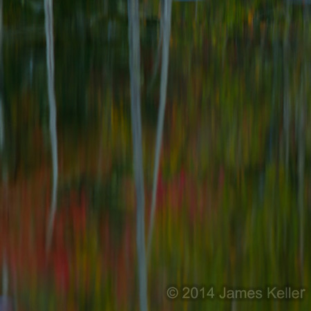 Fall Colors - Abstract 2