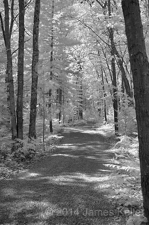 Woodland Drive