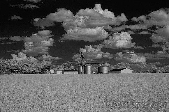 Wheat Field Farm IR