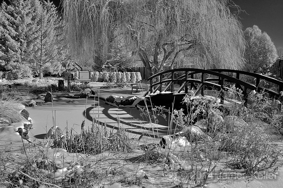 MSU 4H Children's Garden 4