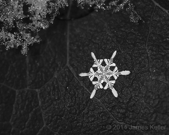 Snowflake 2
