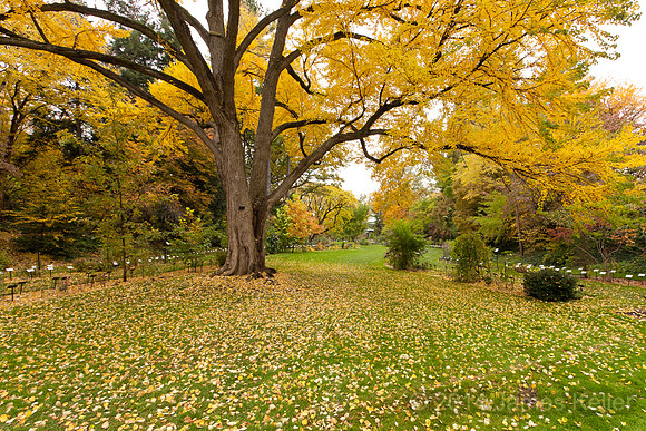 MSU Beal Garden 2