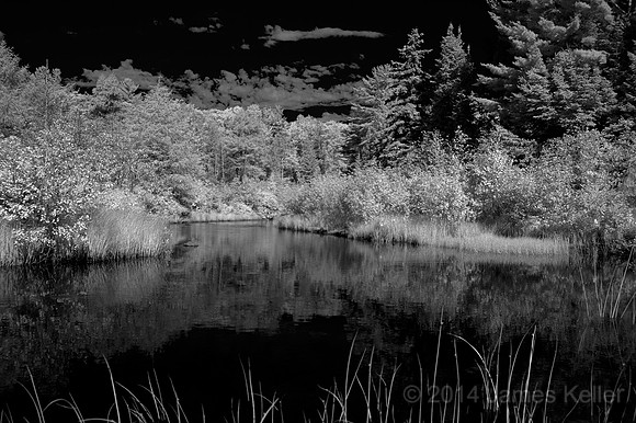 Black Mallard River