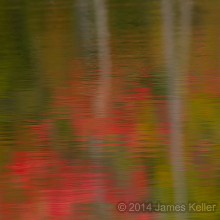 Fall Colors - Abstract 4