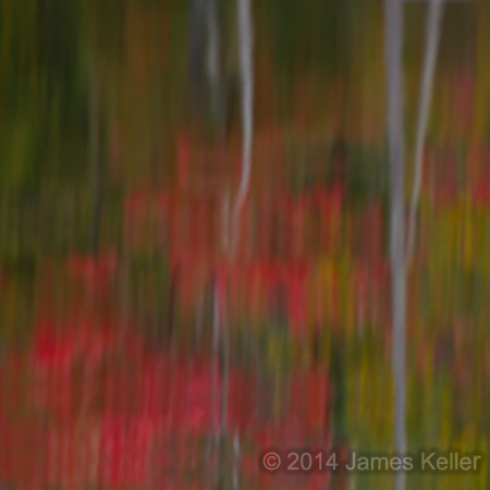 Fall Colors - Abstract 3