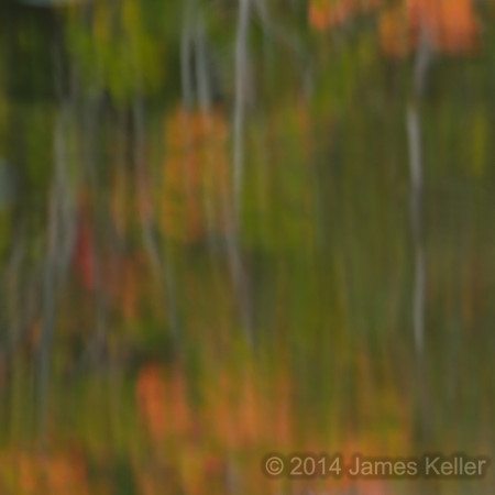Fall Colors - Abstract 1