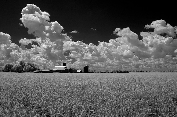 IR Cornfield and Farm